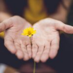 “마음 챙김, 내 삶 속 작은 변화부터”… 일상에 쉽게 적용하는 건강 트렌드 selective focus photography of woman holding yellow petaled flowers