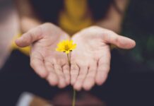 “마음 챙김, 내 삶 속 작은 변화부터”… 일상에 쉽게 적용하는 건강 트렌드 selective focus photography of woman holding yellow petaled flowers